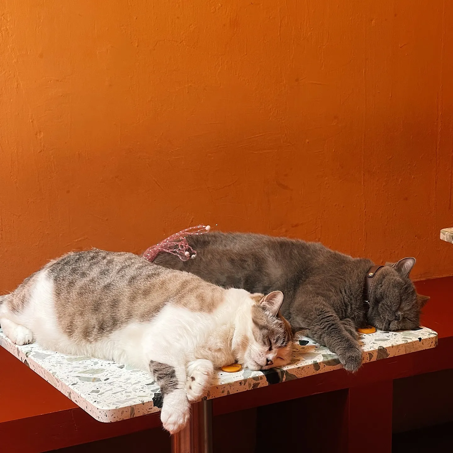 Cafe photo 2