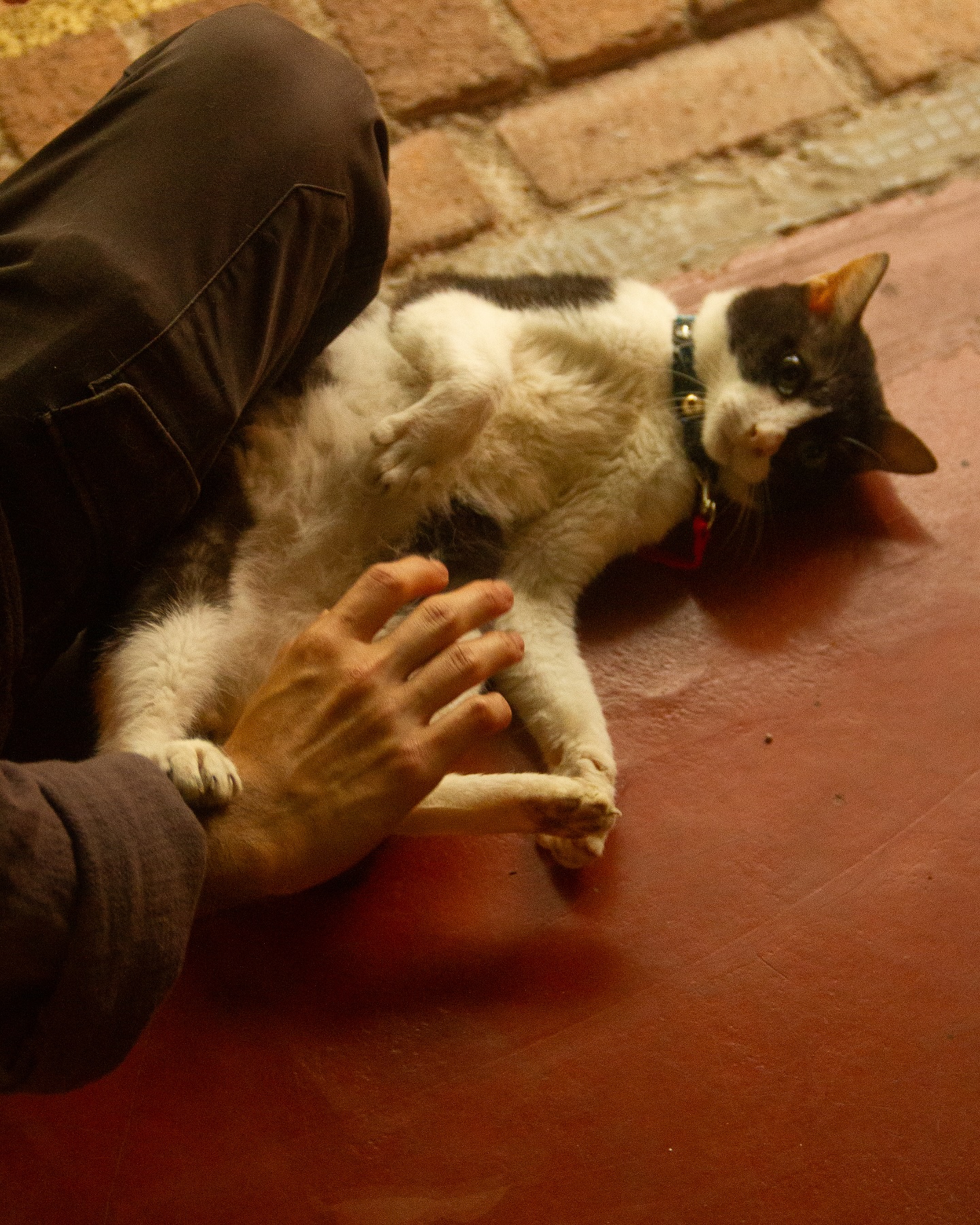 Stellar Coffee photo 2