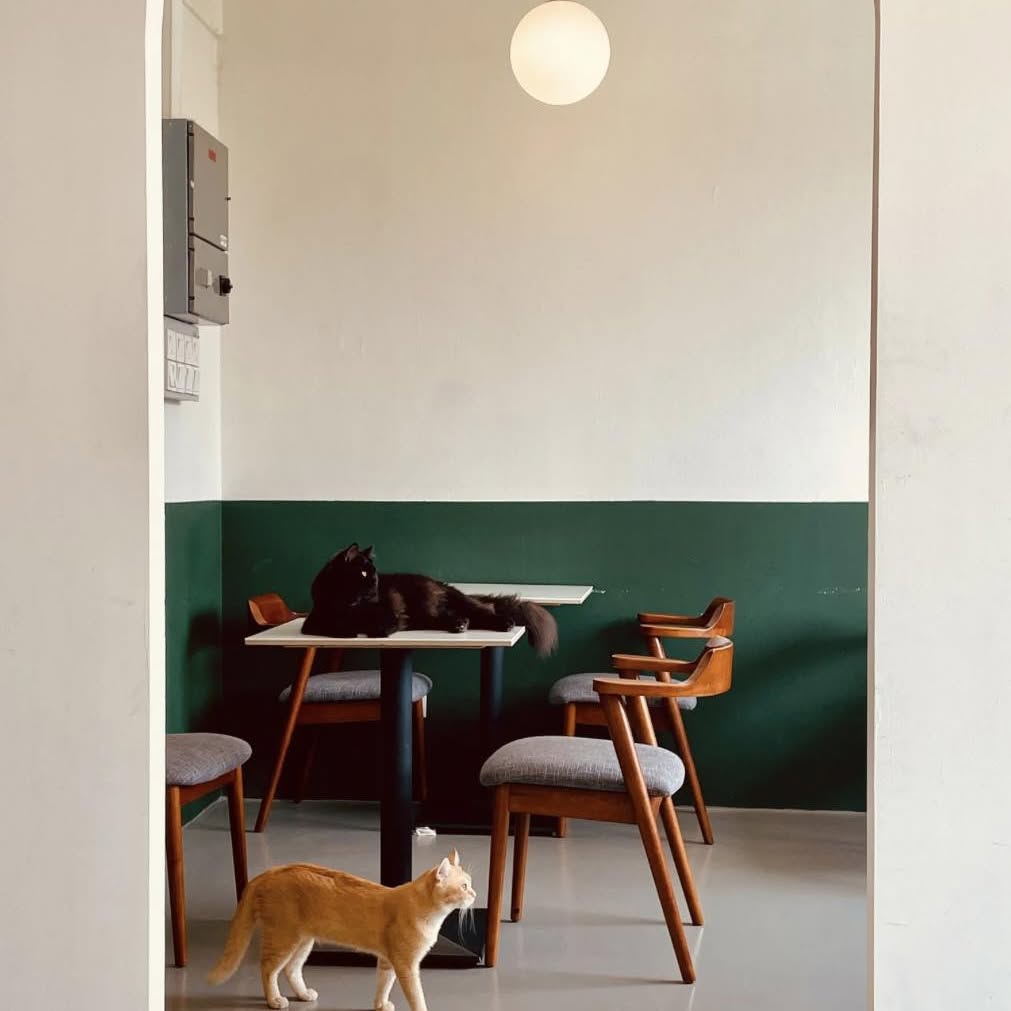 Spring Spring Cafe photo 2