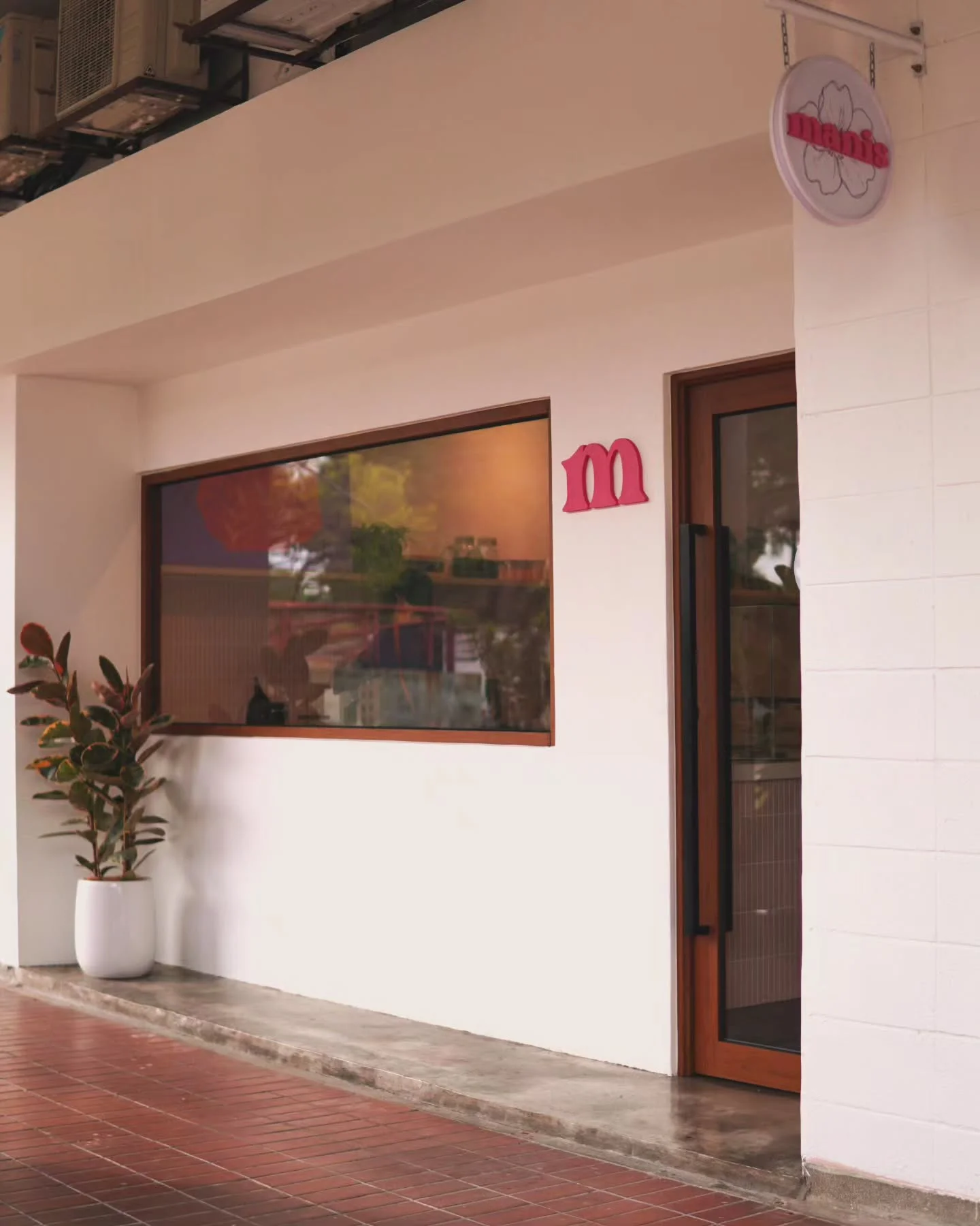 Manis by WildFlour photo 3