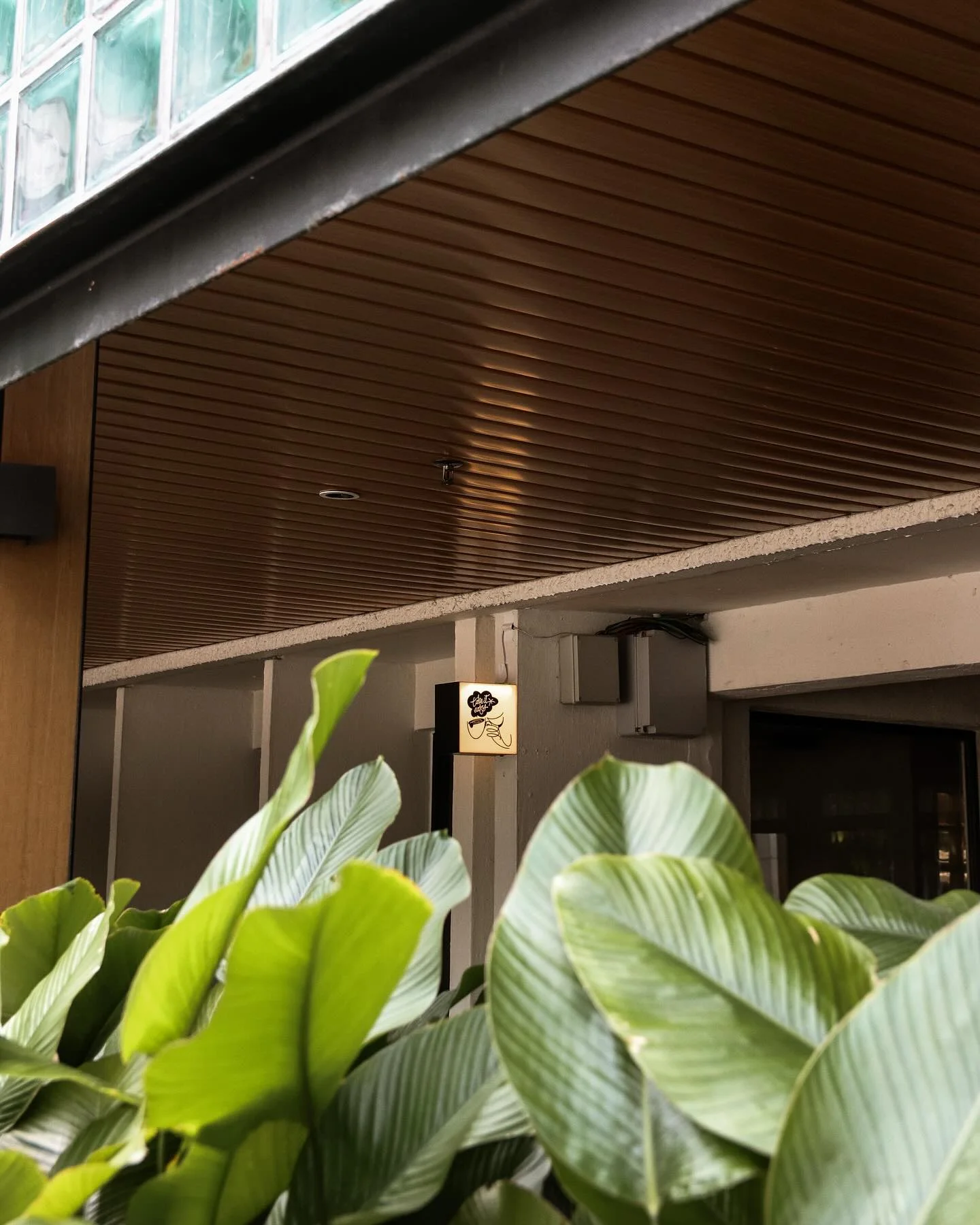 FEEKA at The Five photo 2