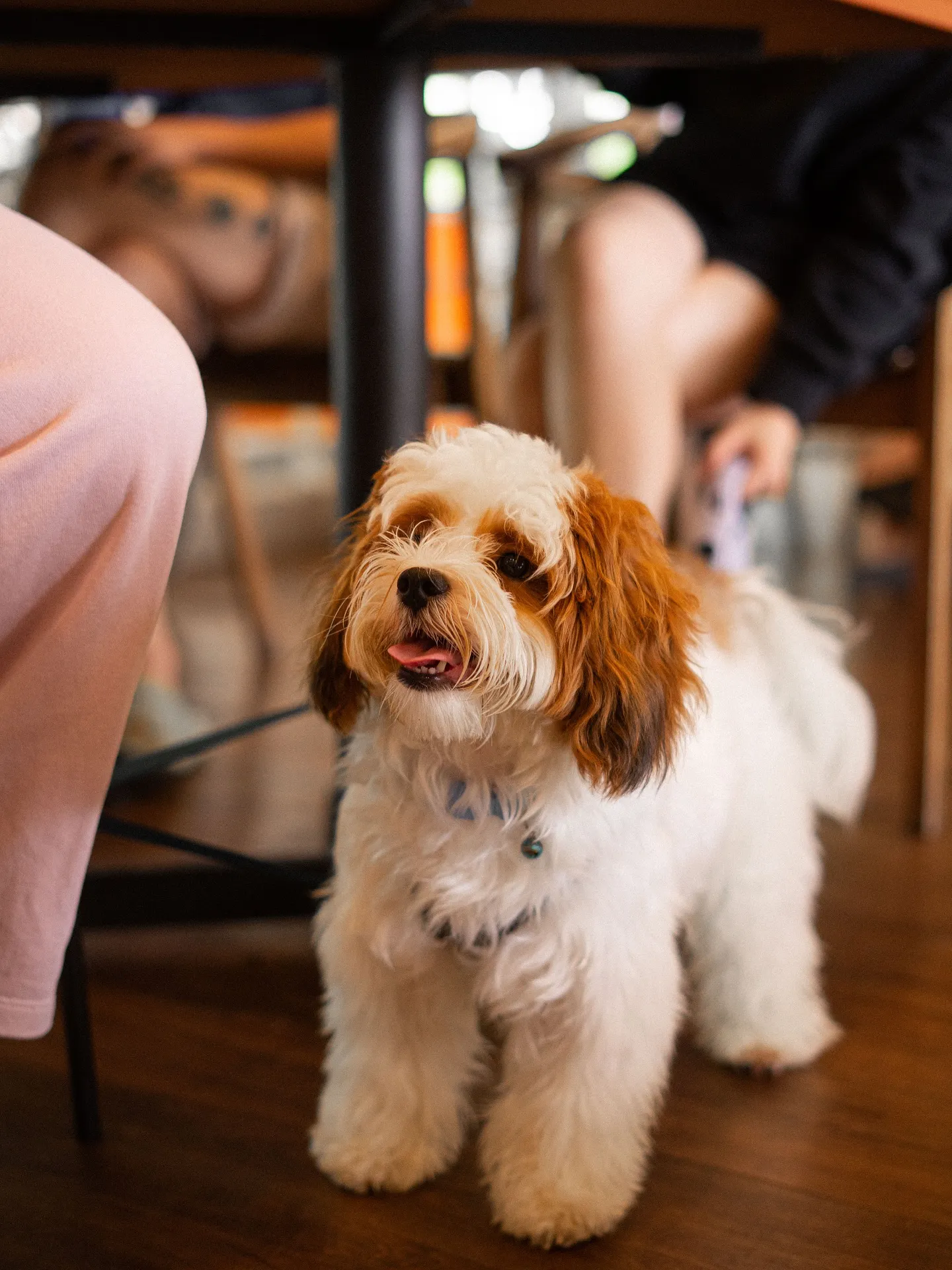 103 Coffee - Waterfront @ Park city photo 1