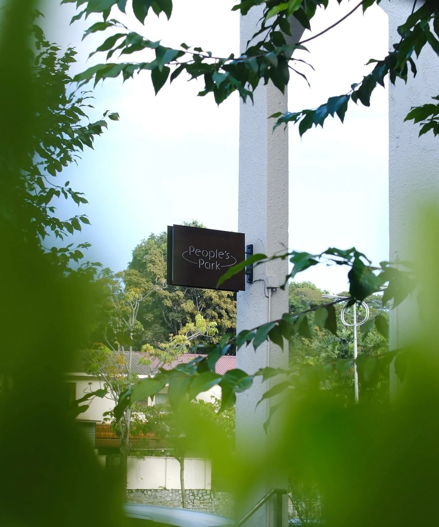 People's Park Cafe photo 2