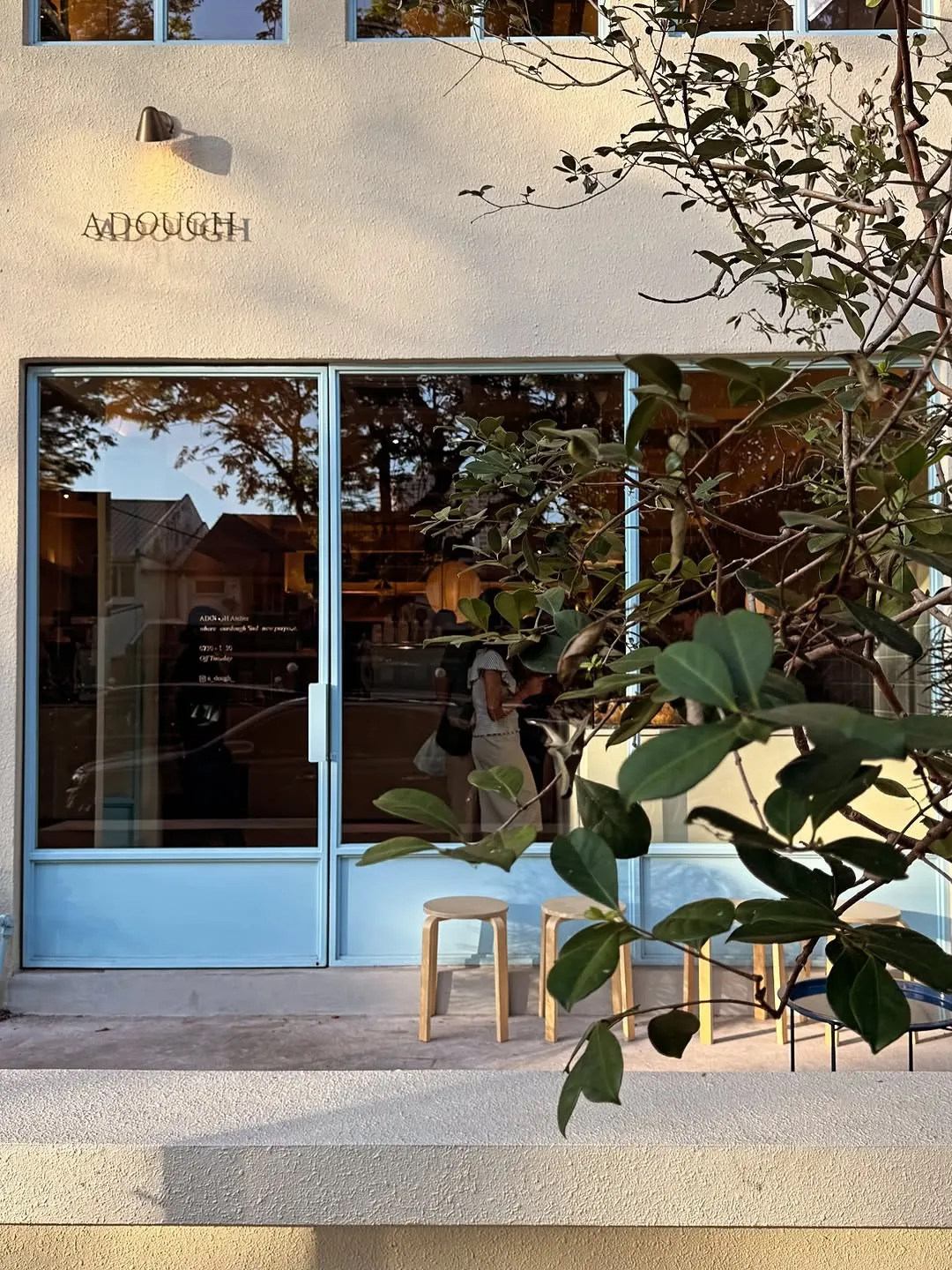Artisan sourdough pastries artfully arranged on a textured surface.