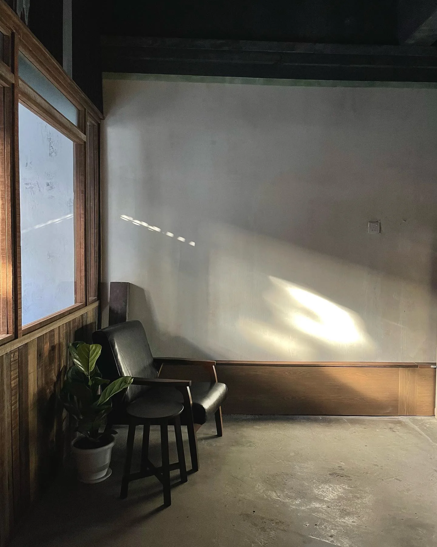 Shikomi Coffee photo 4