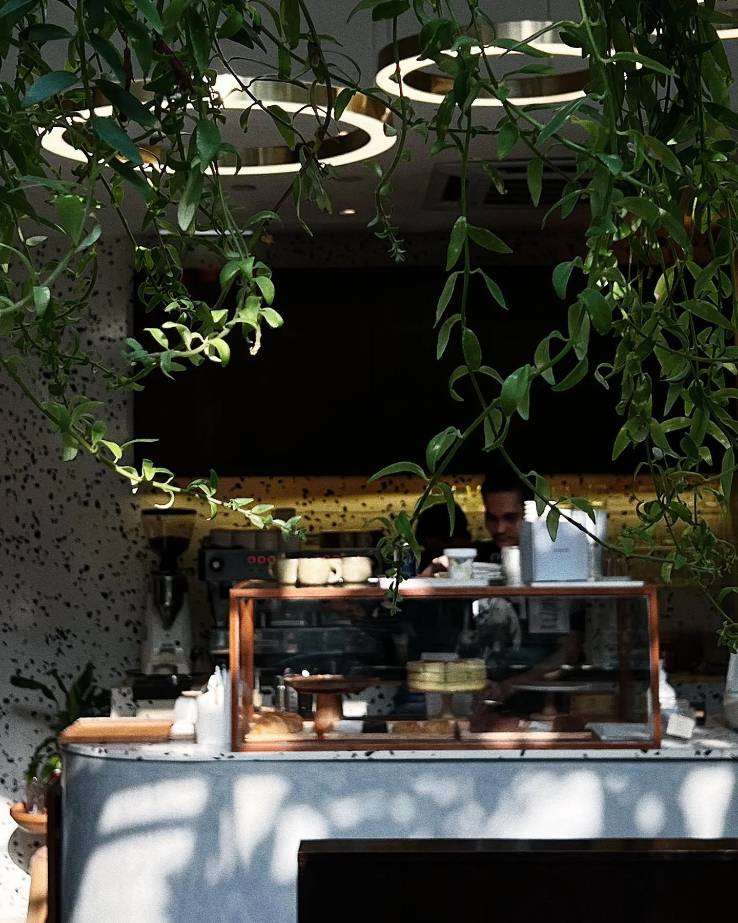 Cafe photo 4