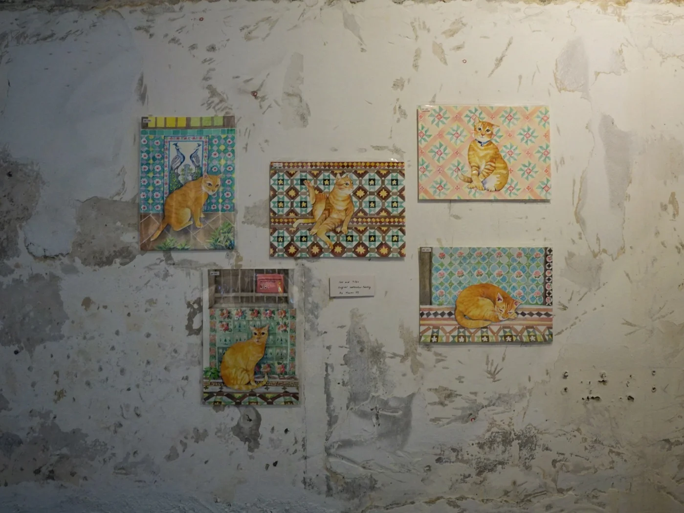 Nomad's photo 5