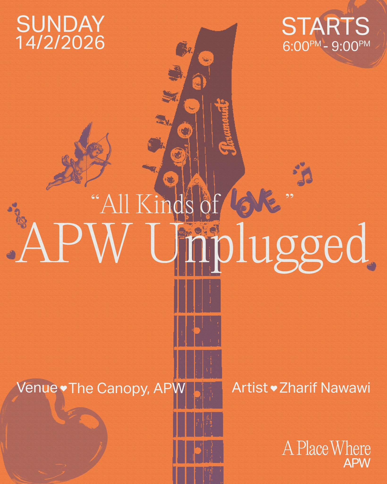 APW Unplugged