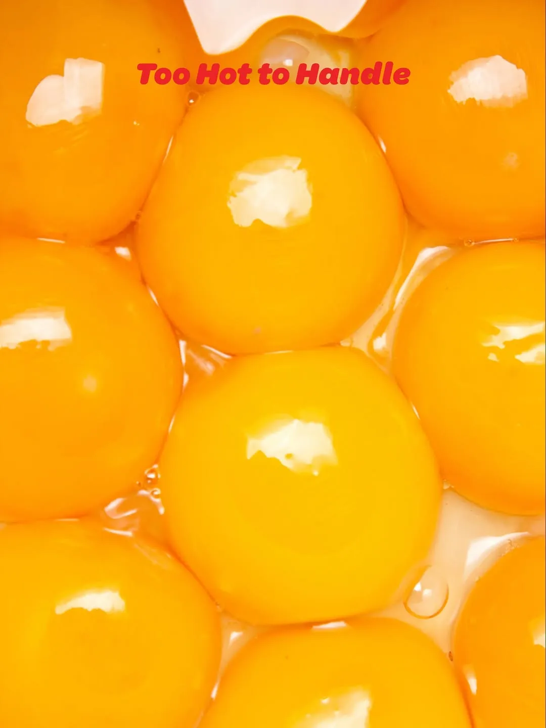 Close-up of vibrant, fresh egg yolks in a tray.