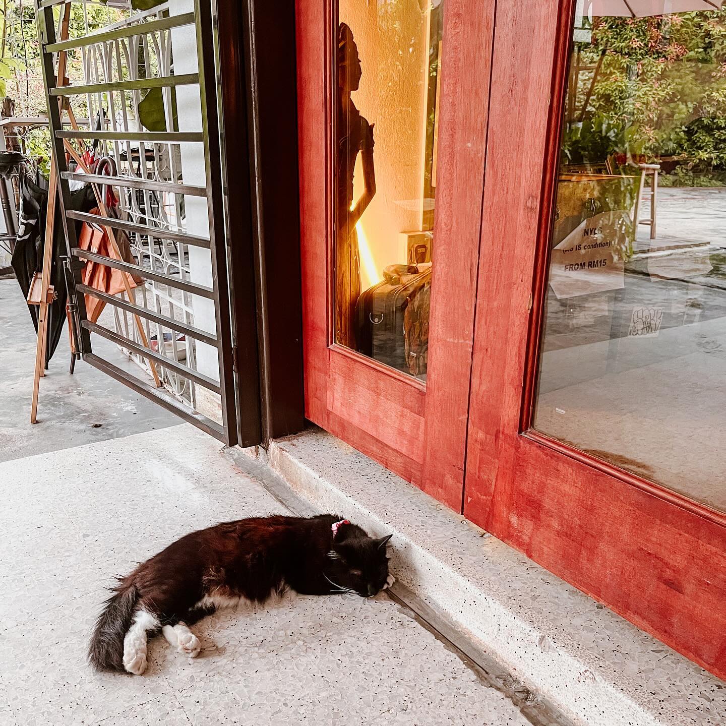 Whatever Works Coffee photo 3