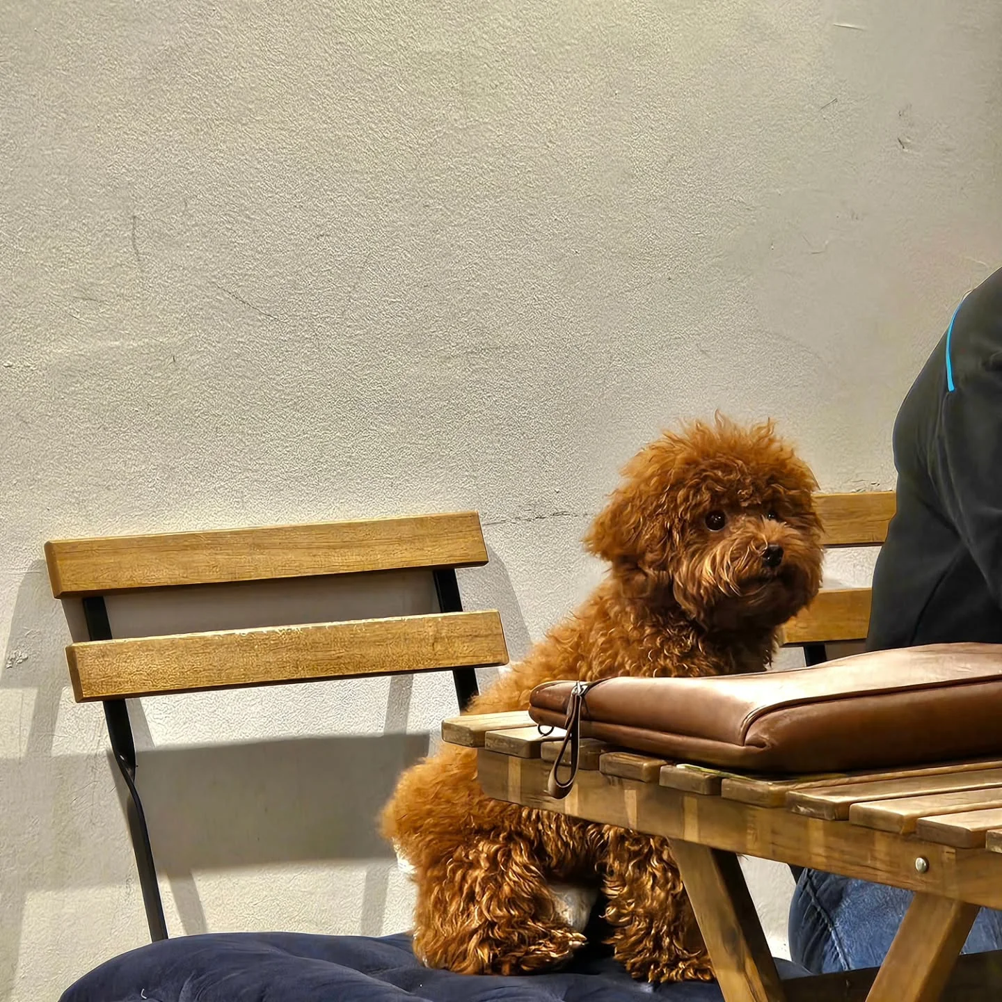 Cafe photo 1
