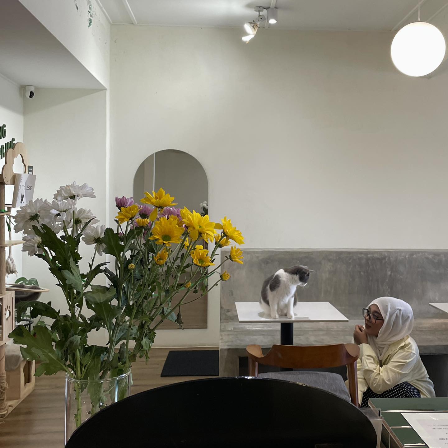 Spring Spring Cafe photo 3