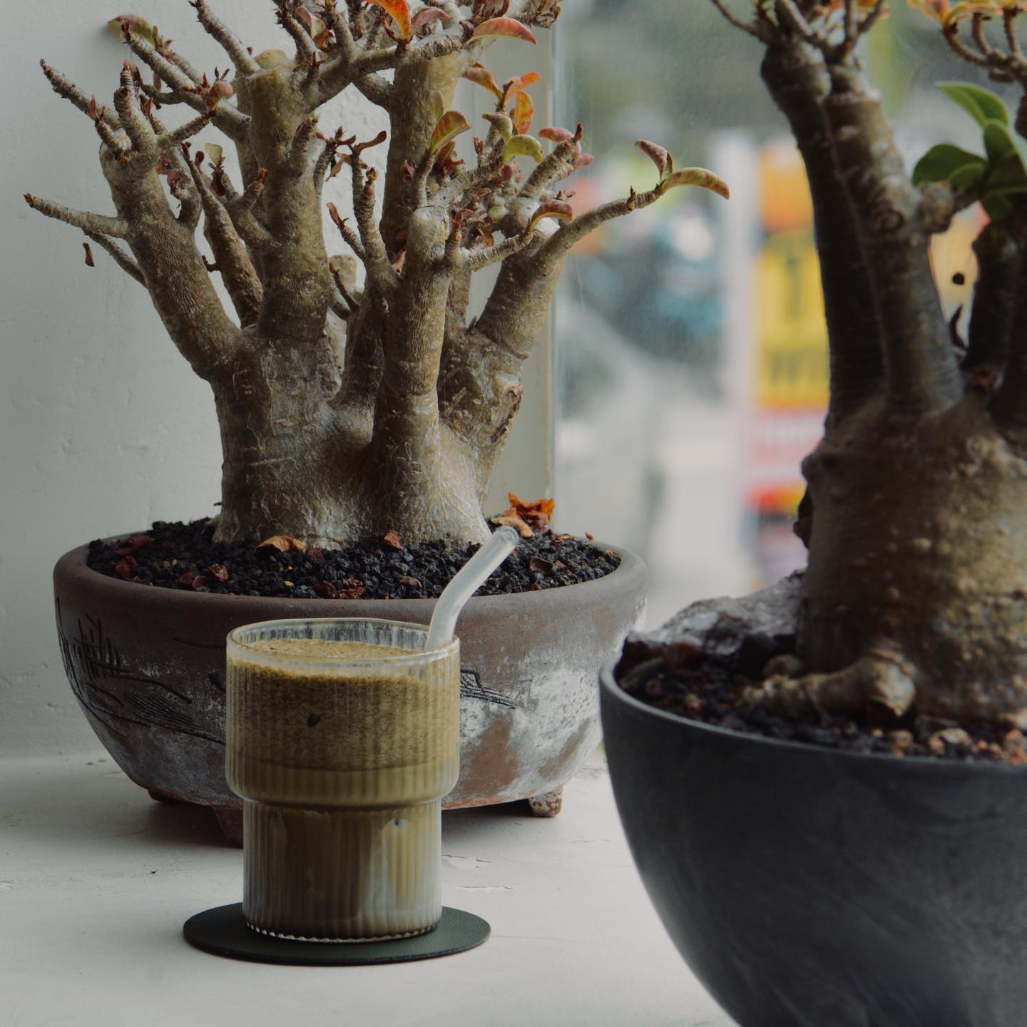 Spring Spring Cafe photo 1