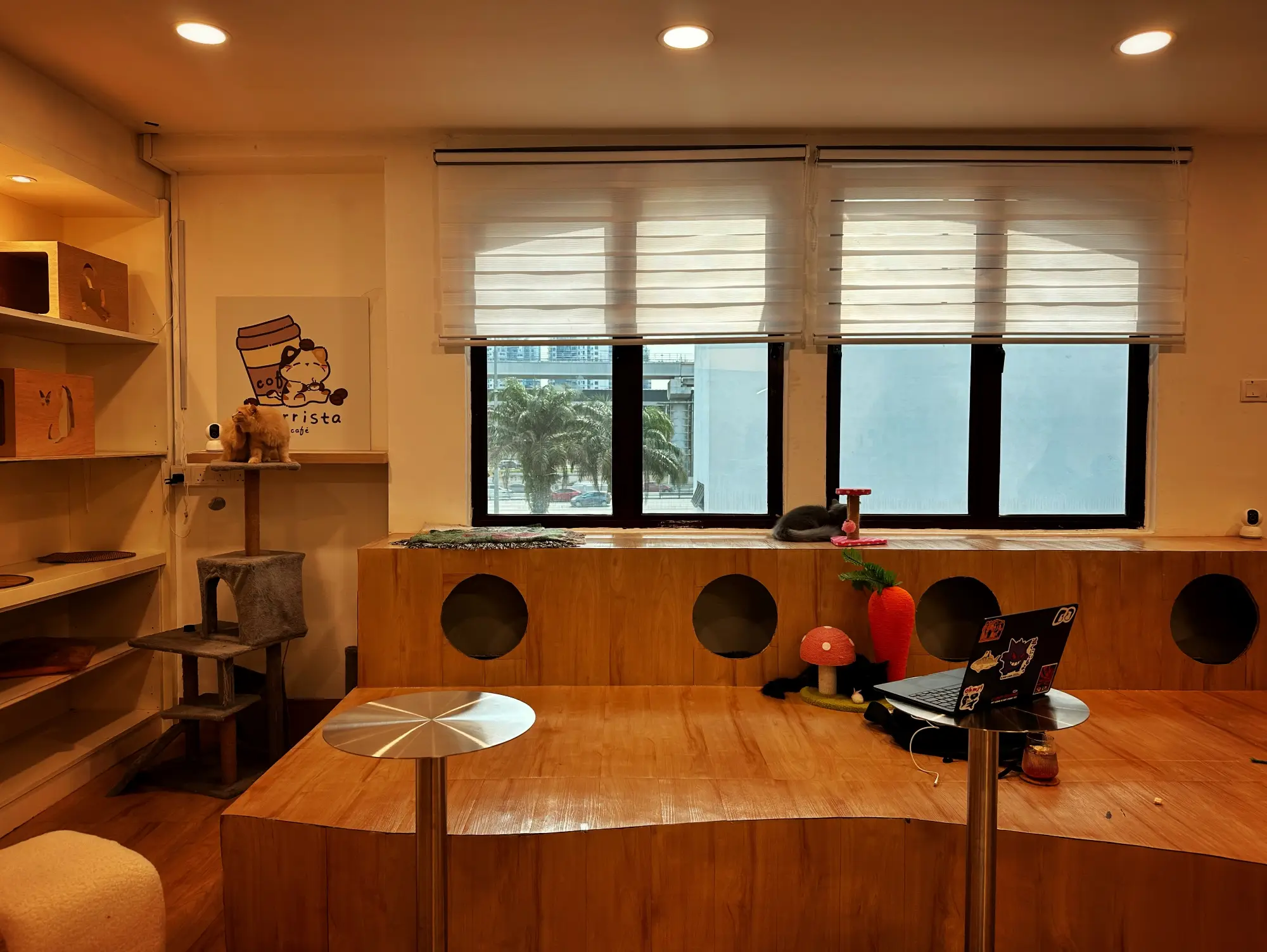 Purrista PJ Cat Cafe