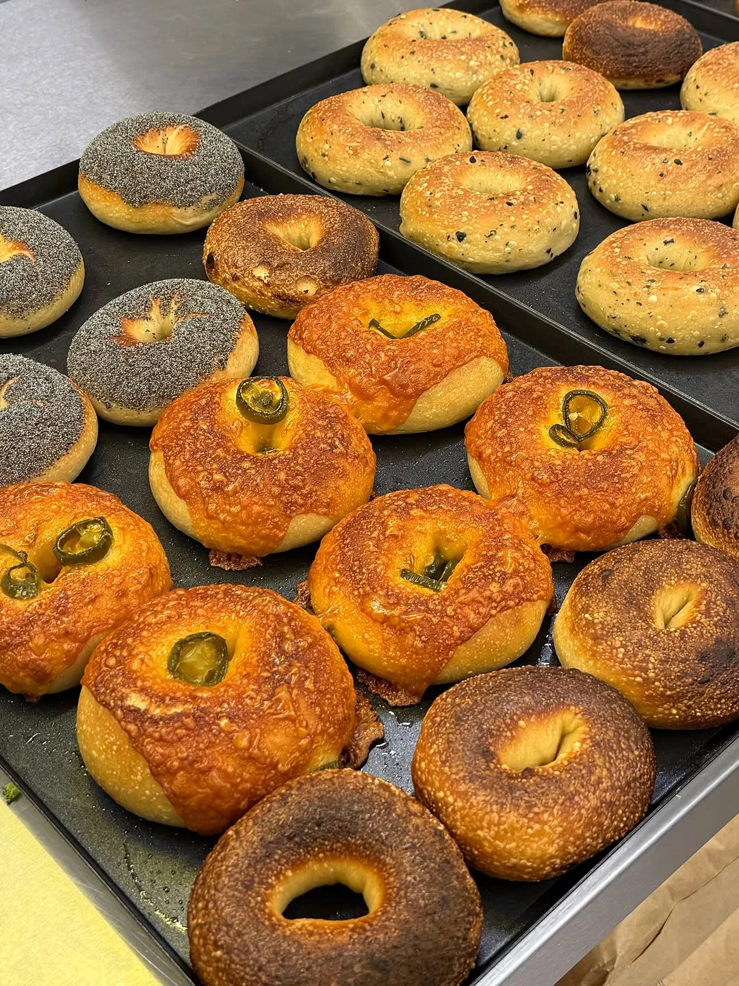 An assortment of freshly baked bagels, including jalapeño and everything bagels.