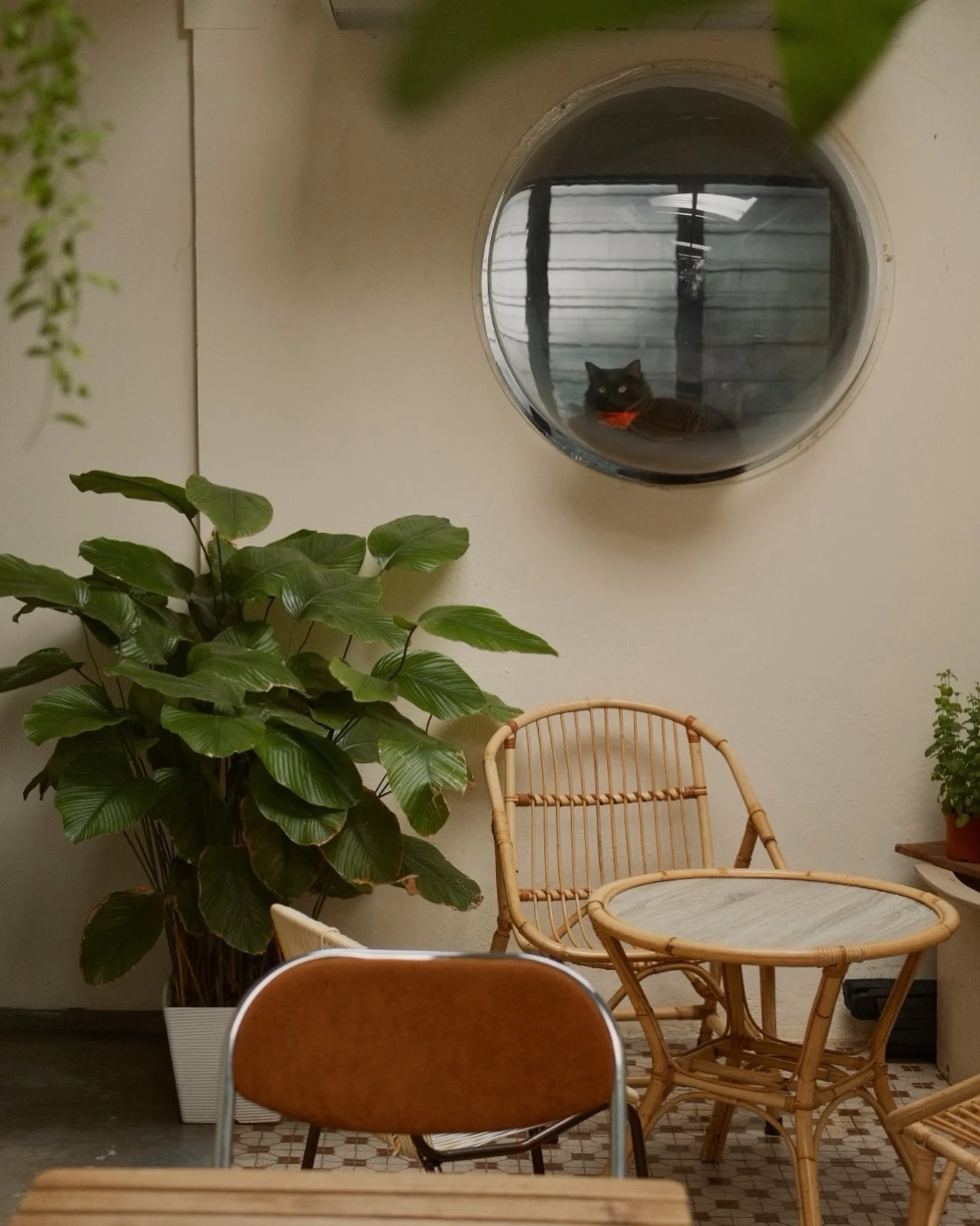 Yue Coffee Bar photo 4