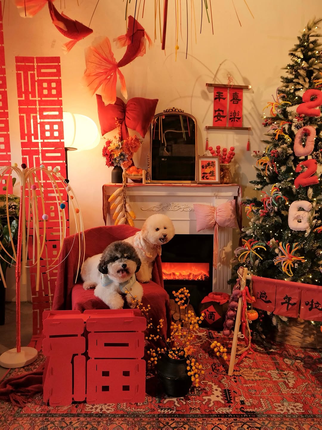 Bimba Cafe SS2 photo 1